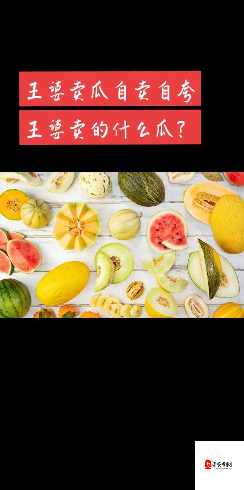 王婆卖瓜自卖自夸中的王婆卖的是什么瓜，资源管理的智慧与策略