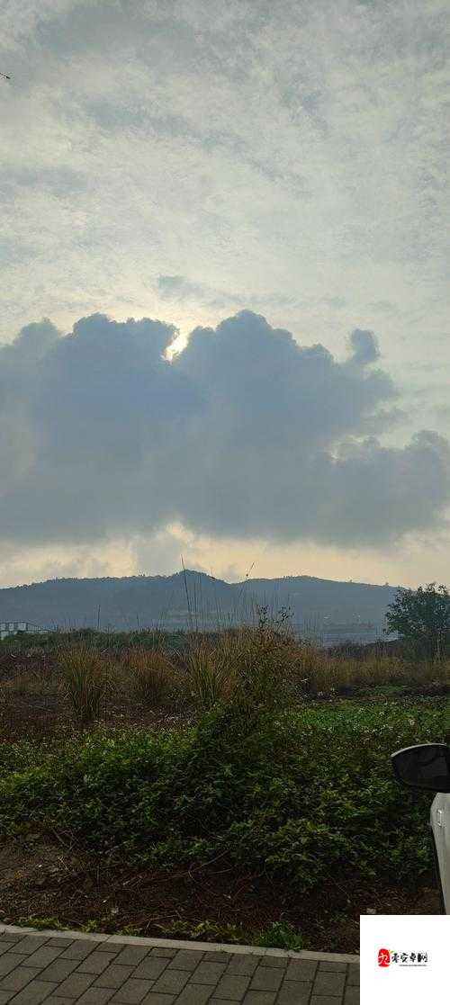 已满十八点此自动转 2024 ：开启全新人生旅程的奇妙时刻