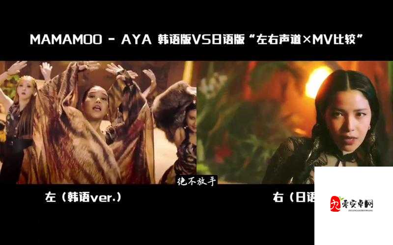 欧美 MV 日韩 MV 最火的一句详解之深度剖析与全面解读