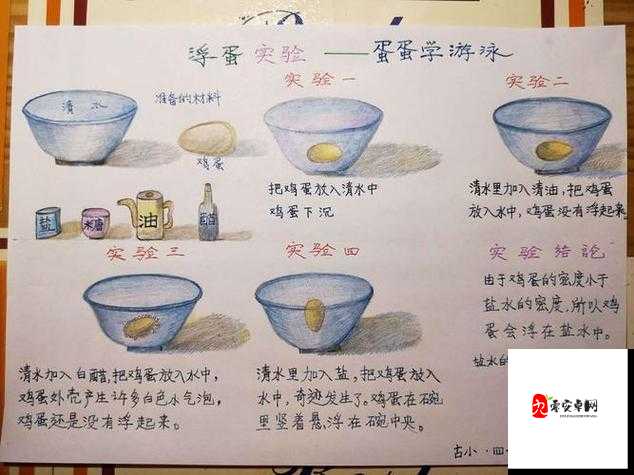 公的浮之手中字 5 剧情解析-深度剖析与全面解读