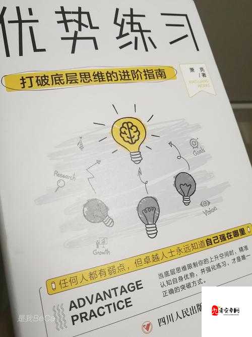 造物法则2H20安杰利卡型怎么样，资源管理、高效使用与价值最大化