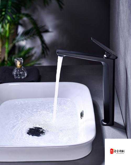 工本口子库水龙头：关于其历史发展与实际应用的探讨