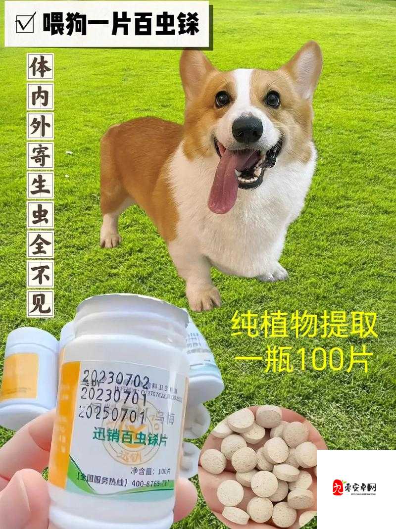 ZOOMSERVO 兽狗产品优势：性能卓越功能多样品质可靠