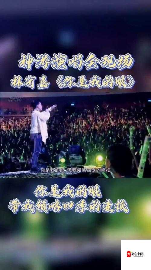 我还没用力你怎么那么痛什么歌：探寻其背后的音乐故事