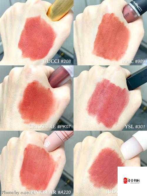 ysl 蜜桃色 6696 是纯还是仿：深度解析其真伪之谜