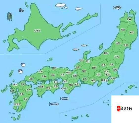 精品日本一线二线三线区别：你了解多少？