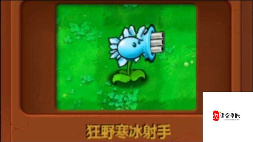 云顶之弈寒冰属性，射手之寒，掌控战场的冰雪女王