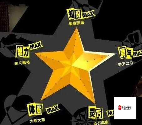 p5 提升五维最快的办法：全方位详细解析与实践策略