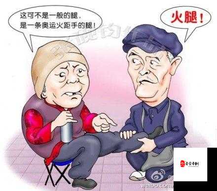老师你听我解释啊第24关通关秘籍，智慧与幽默的碰撞