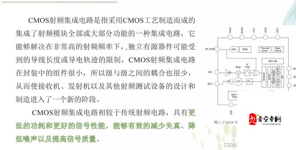 75 欧射频线和 65 欧射频线的区别：特性、用途与选择建议