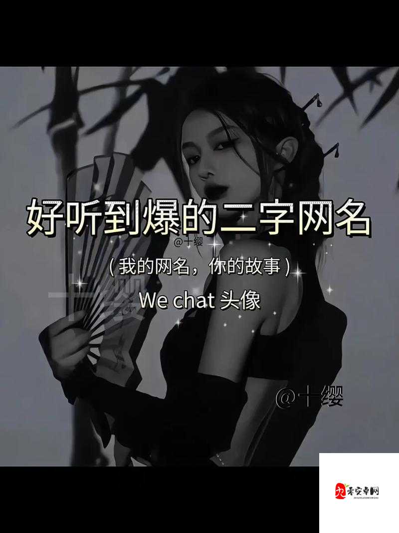 baoyu1119 最新网名背后的故事：揭秘网络世界的神秘人物