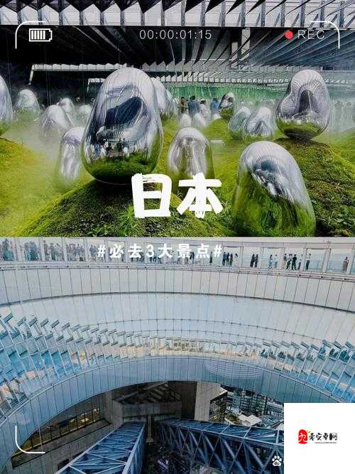 美国 macbookpro 日本：探索其在全球市场的独特魅力