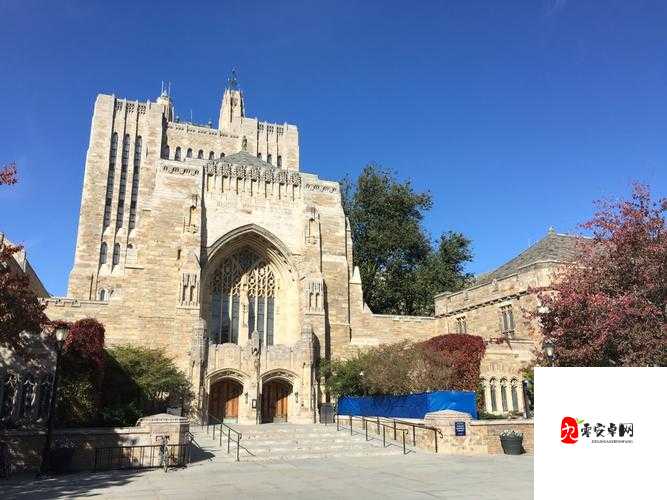 夜耶鲁 2022 众乐乐：一场令人难忘的欢乐盛宴