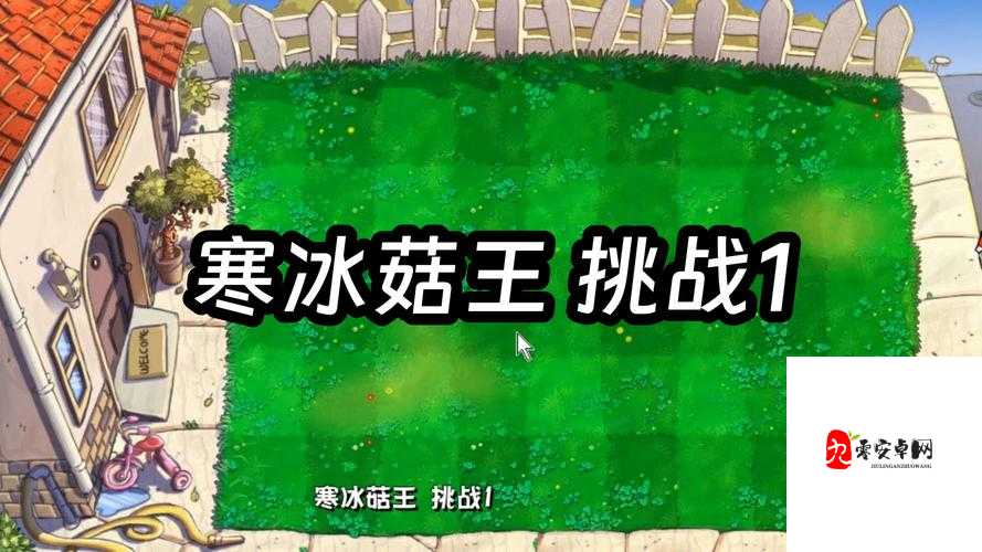 植物大战僵尸杂交版寒冰菇王怎么样：其强大实力与独特魅力解析