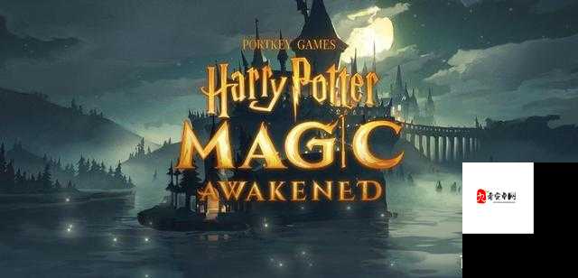 哈利波特手游官网地址在资源管理中的重要性及高效利用策略