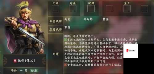 三国终极觉醒张郃怎么样，资源管理艺术与实战技巧