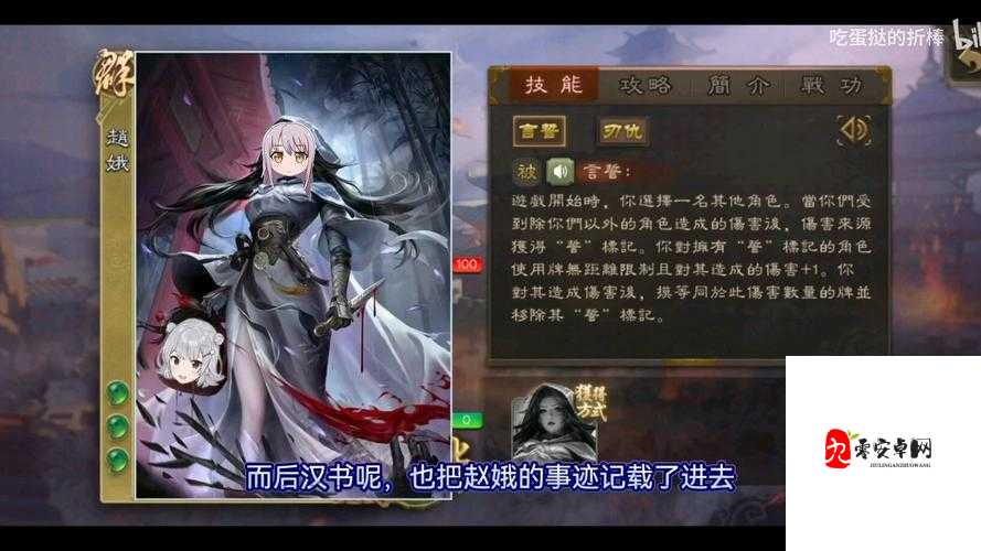 三国终极觉醒赵娥，侠士之魂，战棋之光