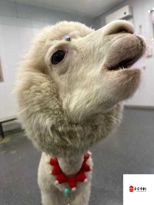 这地方好棒哦我很惊讶——简直超乎想象的美妙之地