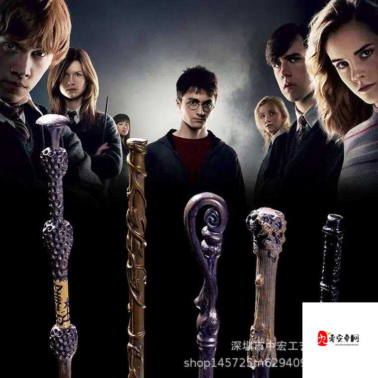 哈利波特魔杖材质探秘，木材与杖芯的奇妙组合