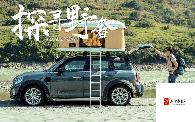 踏上冒险之路开启奇幻征程探寻未知世界之旅