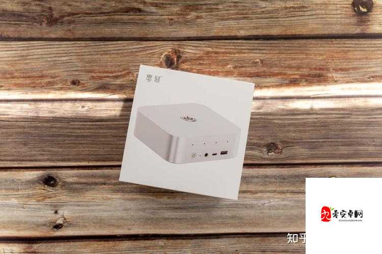 9X9X9X9X 任意槽 2024：这是一个独特的组合与表达