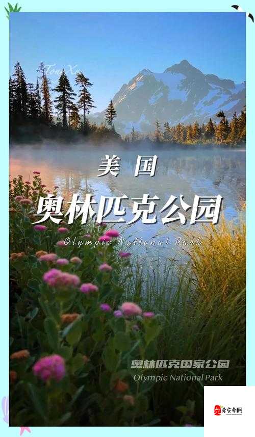 探索美国自然宝藏：领略其独特魅力与神奇风光