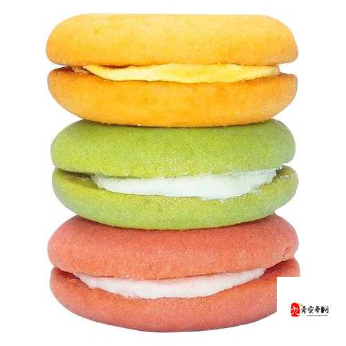 一款营养丰富的夹心饼干：双龙进洞夹心饼干的营养价值大揭秘