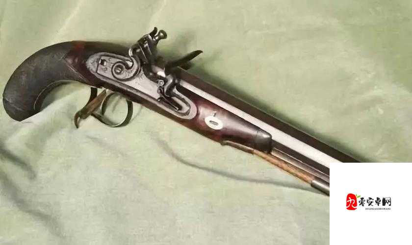 失落城堡火枪类武器怎么玩，资源管理、技巧与最大化价值