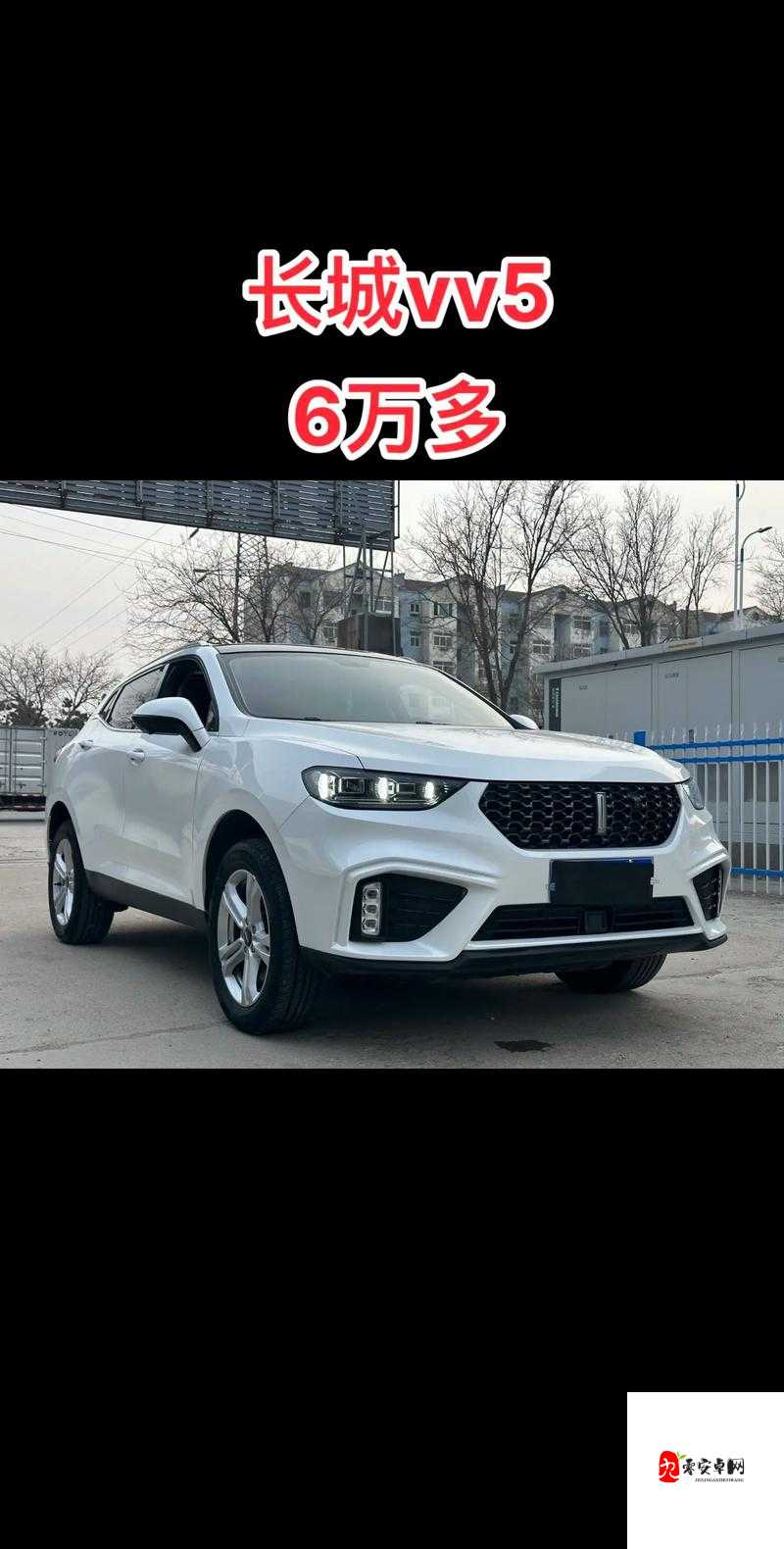 WEY VV5 国产 SUV 卓越品质引领驾乘新潮流