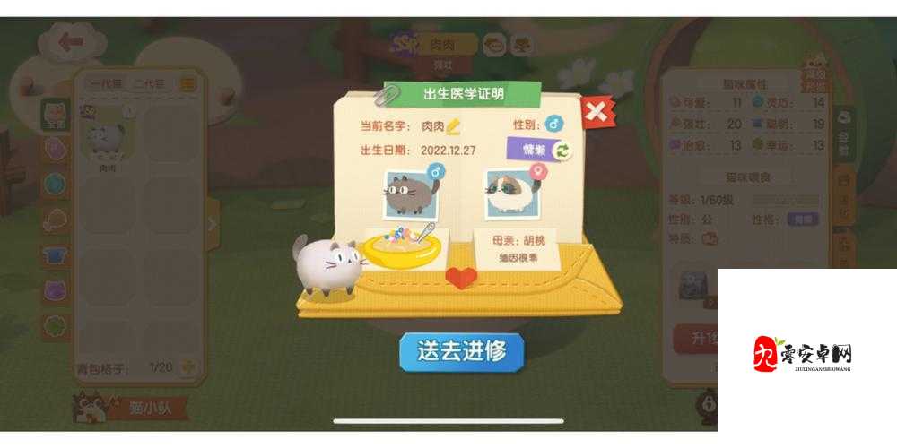 猫咪公寓 2 解密之深度剖析与全面攻略详解