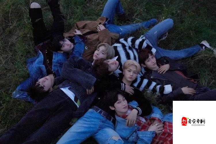 哔哩哔哩情侣进入高峰期现象备受关注