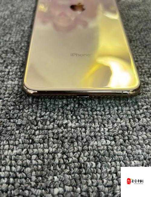 iPhone XS Max 在日本的销售情况与市场份额分析