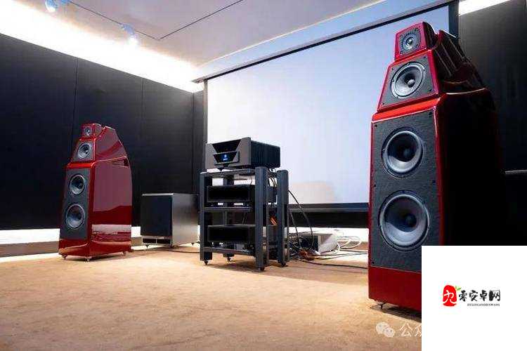 贵丰大菠萝 805D4：震撼音质引领音响新潮流