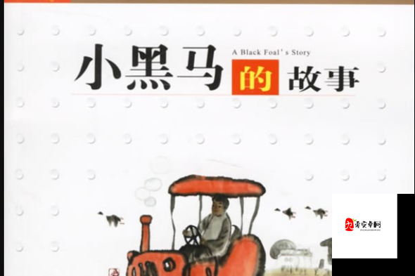 老周张琳公交车分类完善成为一匹黑马：其背后的故事与意义