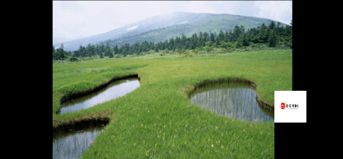 霞怎么玩，资源管理的艺术与策略