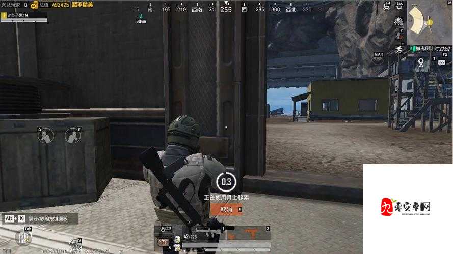 和平精英无UI模式，沉浸式战斗与创意拍摄的新纪元