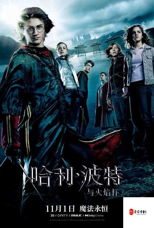 圣裁终焉阿芙勒尔，冰与暗的魔法盛宴