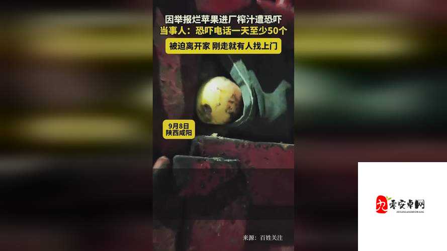 外国打牌生猴子视频大全精彩呈现