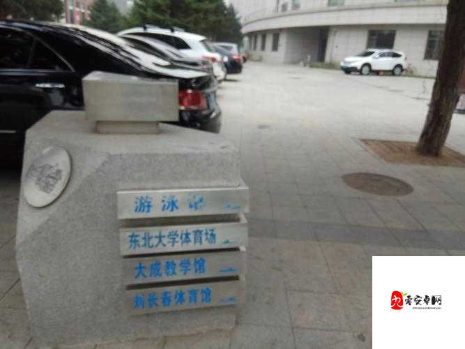 东北体育院乱肉汁 Gay：一场关于体育与性的争议