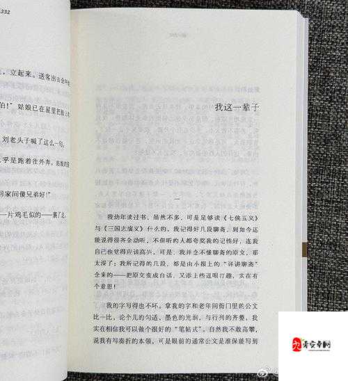 国产 18 页：一部引人深思的经典之作