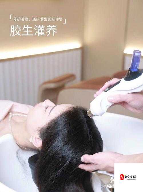 人与狗胶配方的最佳方法：探索其独特制作工艺与要点