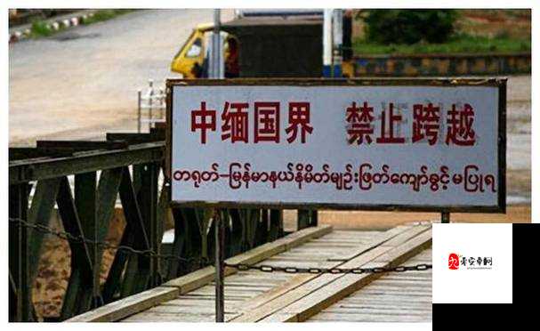 在线观看缅北恐怖网站免费且需警惕其潜在危害