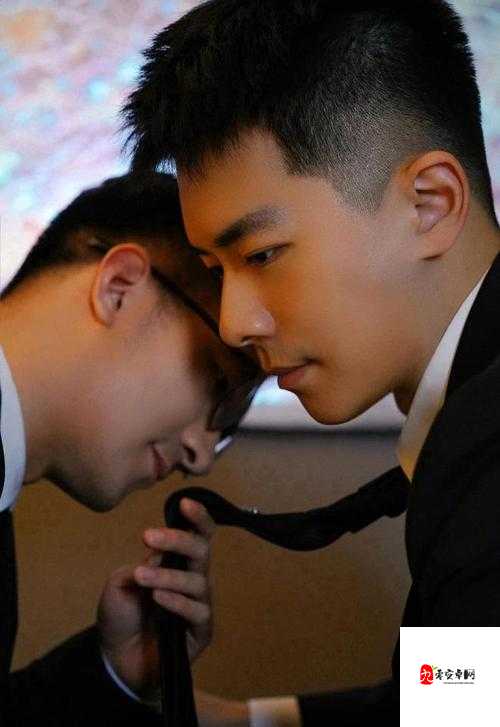 男男 GayGayGay 多毛中国：探索独特的同性情感世界