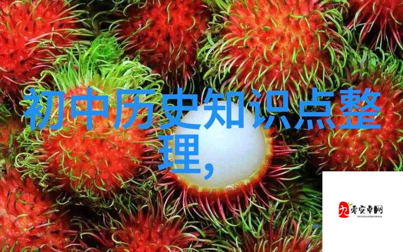 人文艺术之美：探寻其深刻内涵与独特魅力