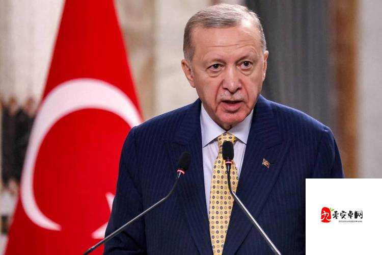 天美果冻星空大象视频：关于其独特魅力与精彩呈现的探讨