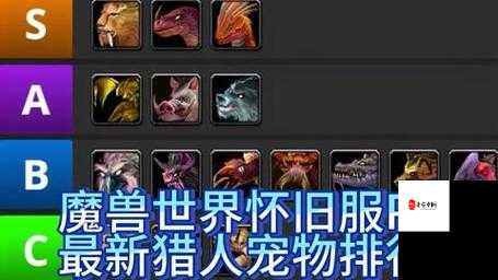 魔兽世界怀旧服，宠物训练点数全攻略