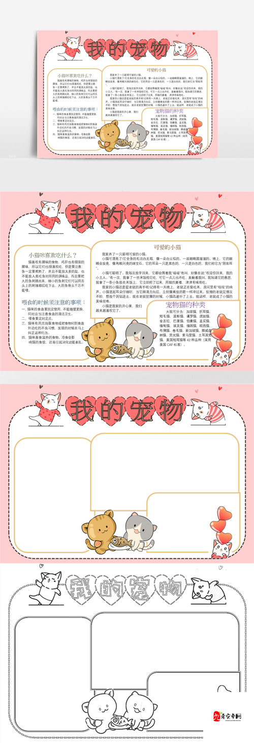 我的起源宠物怎么得，资源管理、高效利用与最大化价值