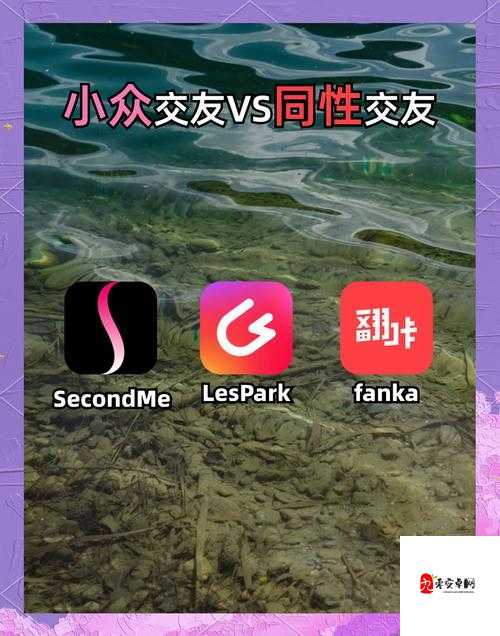 搞基软件：一款专注于同性社交的应用软件