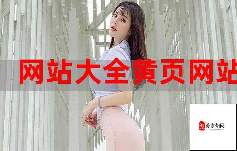 黄页网站免费不要钱，信息全面查询神器