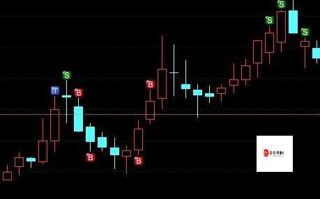 三十种 B 哪个好图：探寻最佳选择
